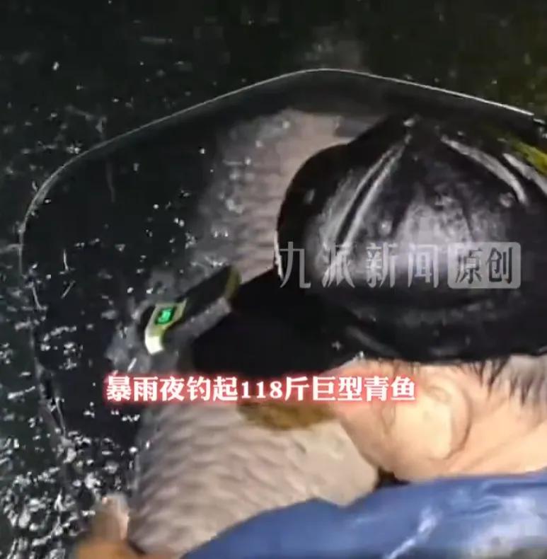 暴雨夜出巨物！6月24日广西河池，下了一整夜瓢泼大雨，不少钓友嫌天气糟早早收竿回