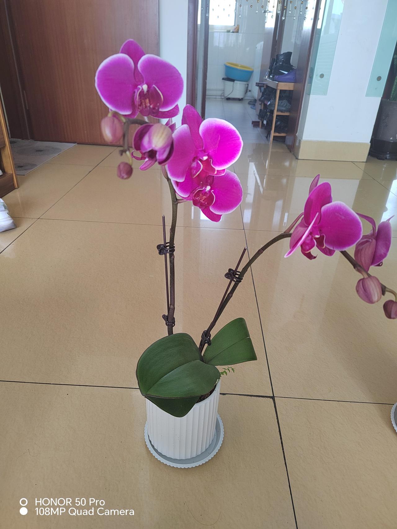 女人与男人一样，相互选择时，都是生理性喜欢与心理性喜欢并重，只是重点不同。男人选