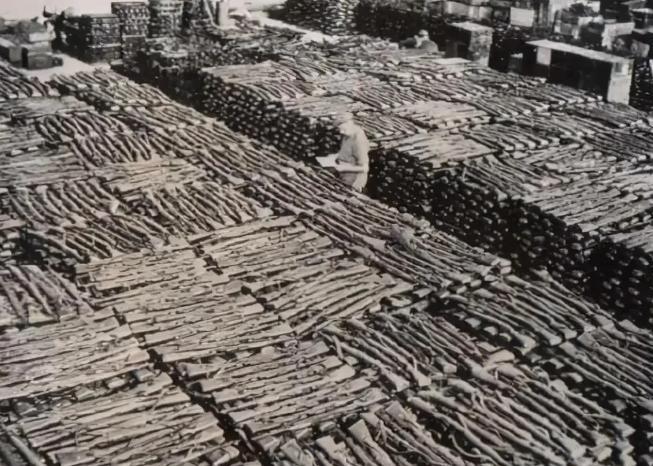 1945年10月底，南京和平门外有个农民再次上山砍柴以补贴些家用。虽然这片山坡他