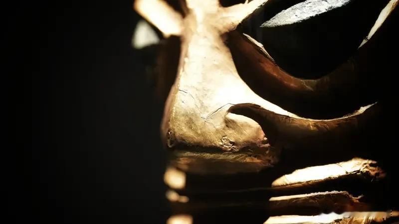 三星堆又挖出王炸新遗存，测年直接早于夏商周，考古圈这次彻底炸锅了！2026年