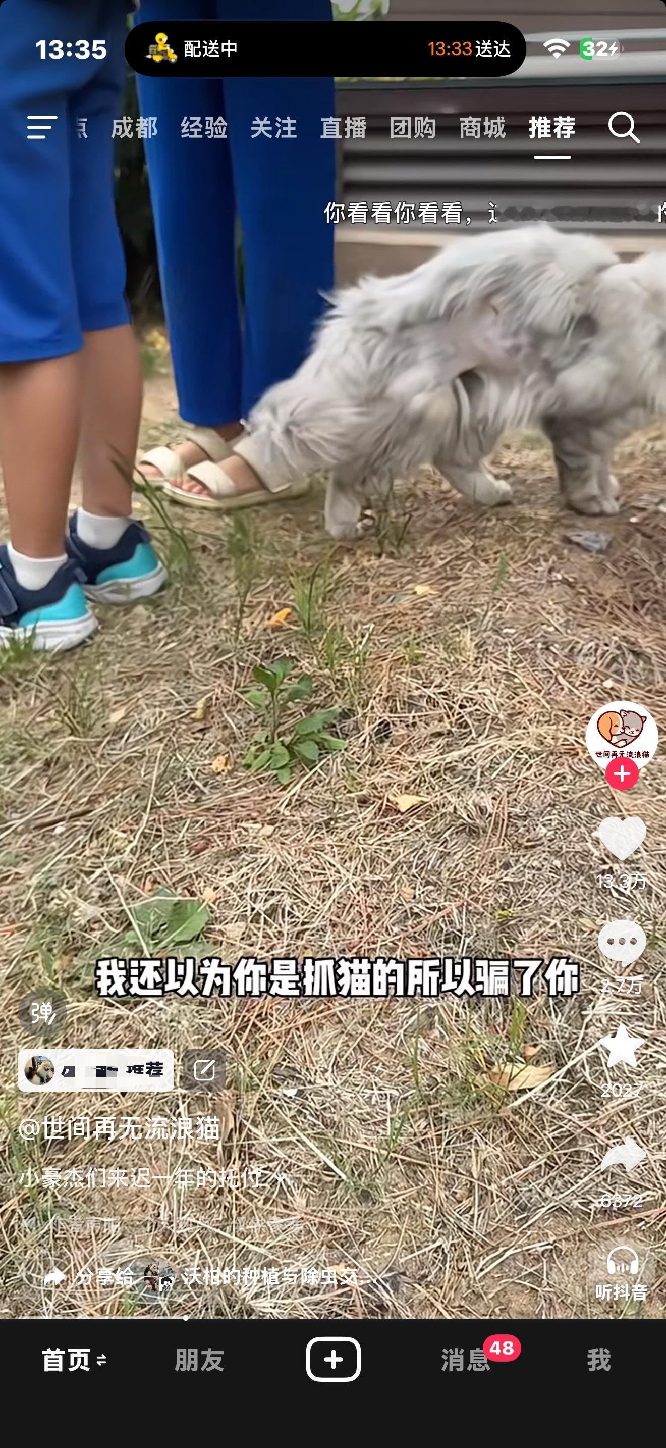 这个看得我感动死了，就是有人求助博主小区有只没皮的小猫，结果这三个小朋友以为博主