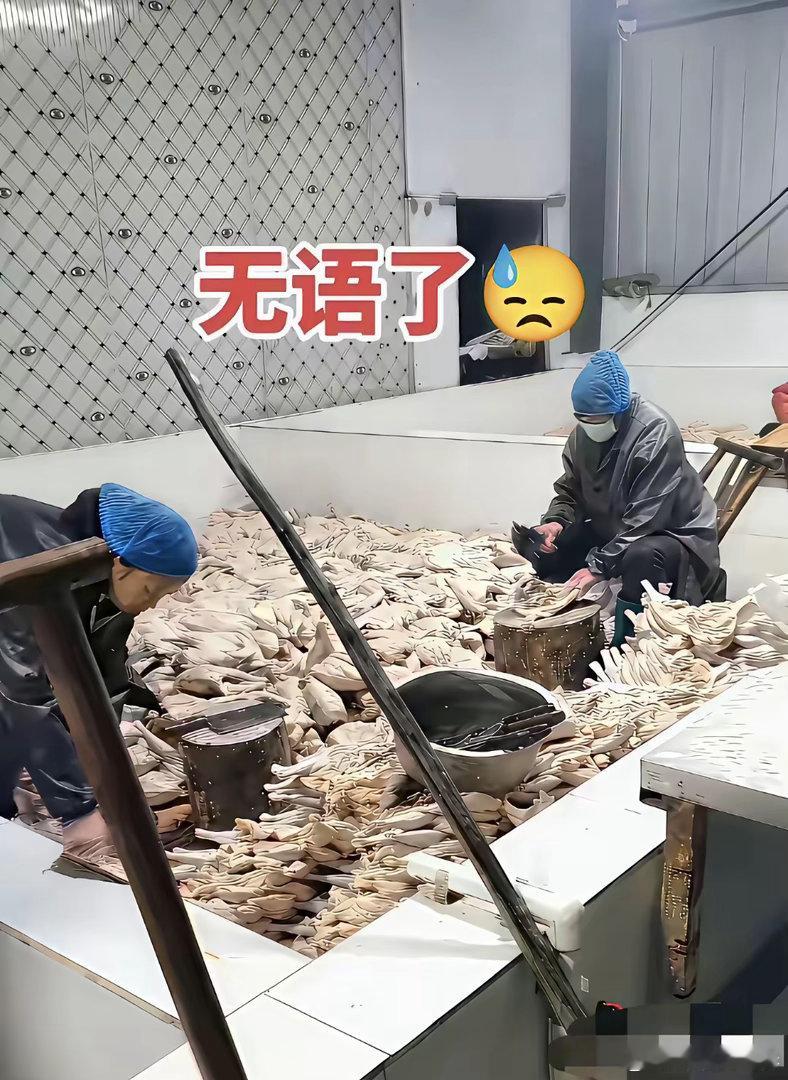 看不懂这是什么，这能吃吗？