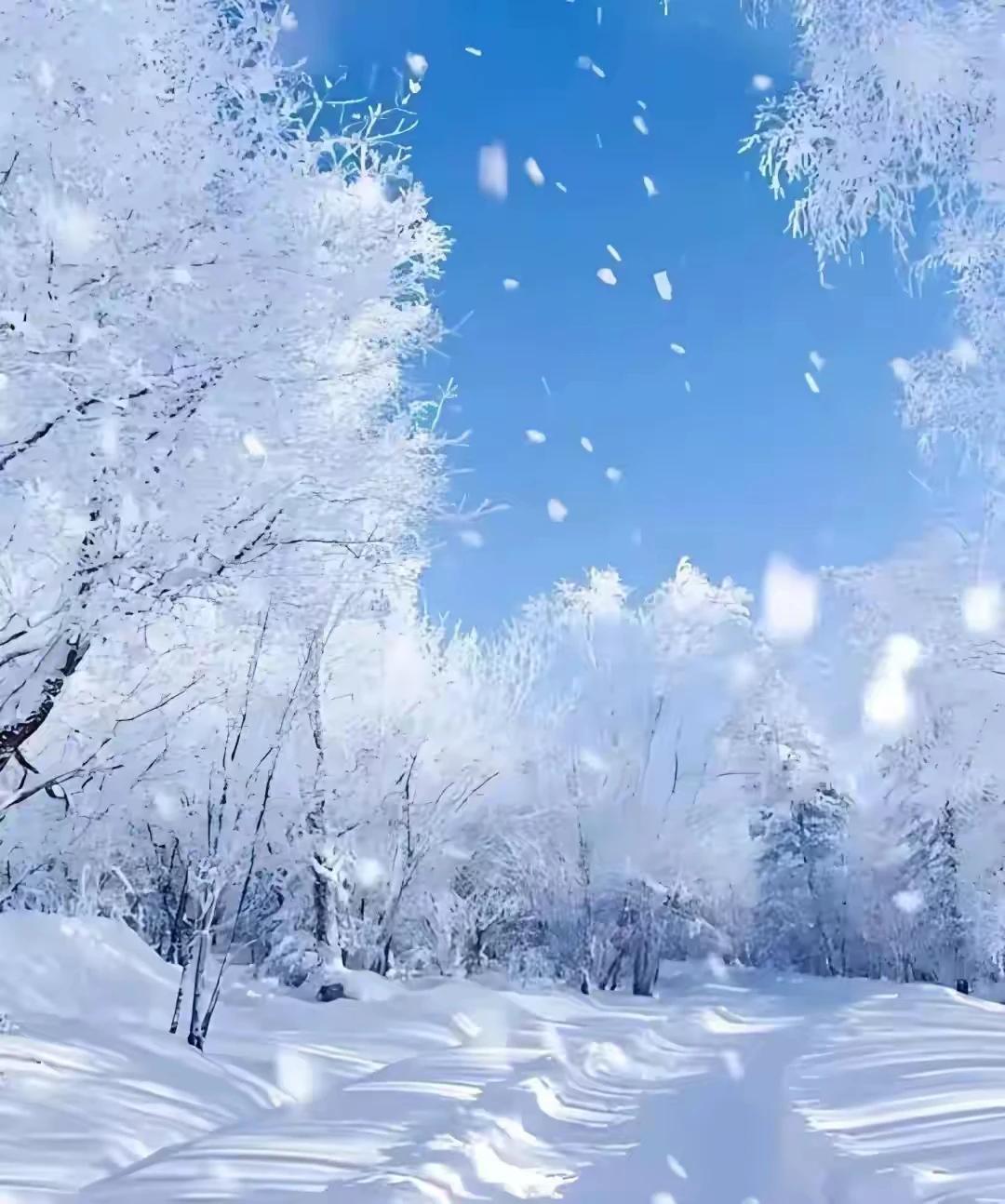 北国风光，千里冰封，尽显冬日苍茫壮阔。飘飘洒洒，落雪成诗，书写浪漫诗意画卷。