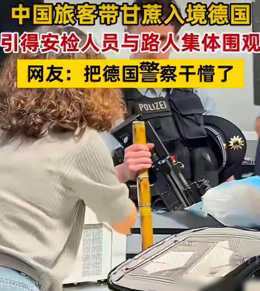 中国甘蔗干懵德国警察！最近咱们中国女游客带了几段甘蔗入境德国，过安检的时候直