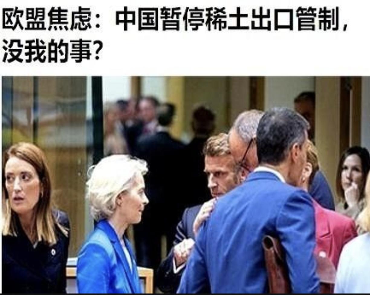 “我们以为中方的暂停措施适用于全球……”这话从欧盟发言人嘴里说出来，我真的没忍住