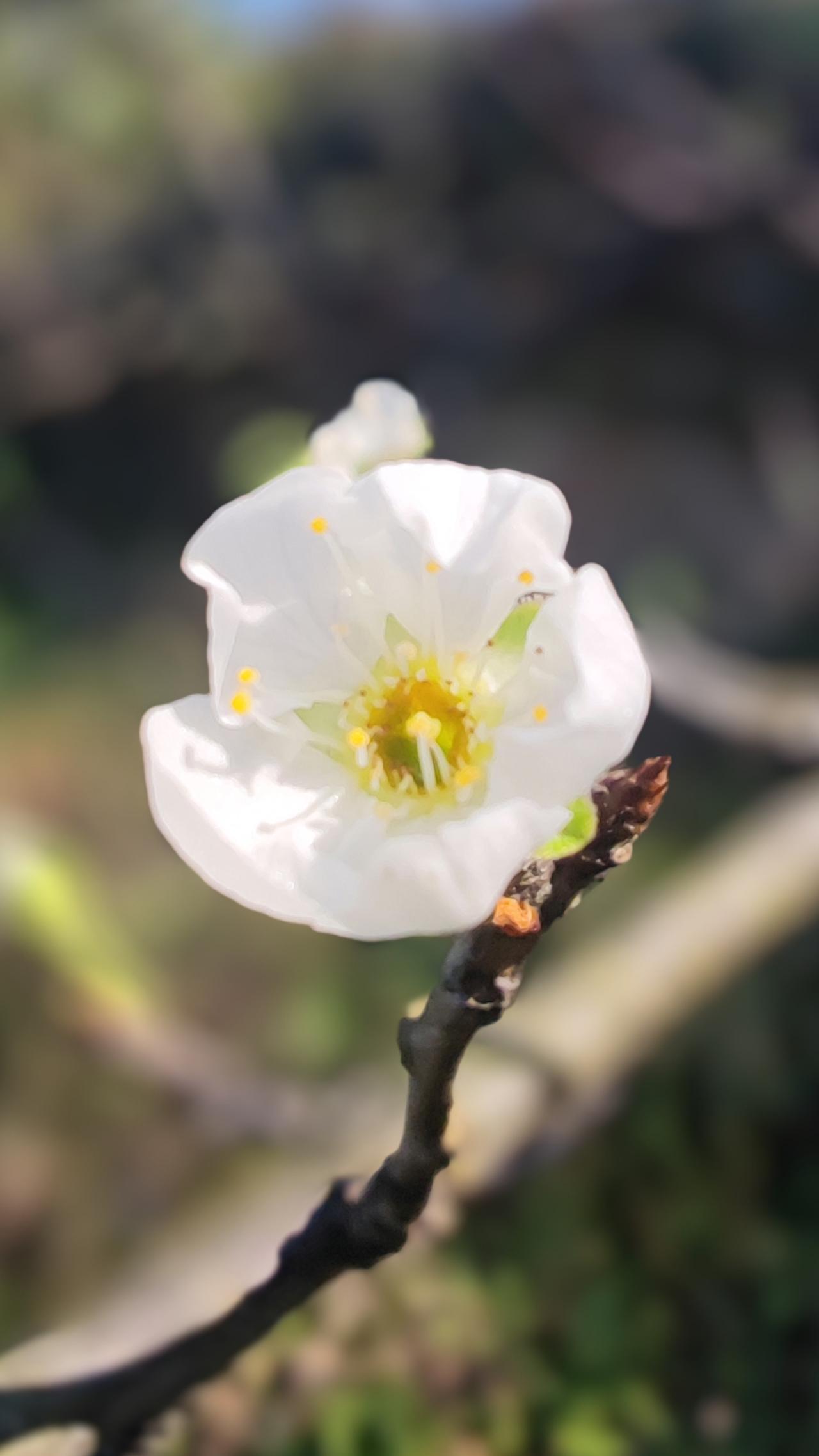 觉醒后，如何安住本心顺其自然？老天拿走你什么，你就舍弃什么，学会放手！