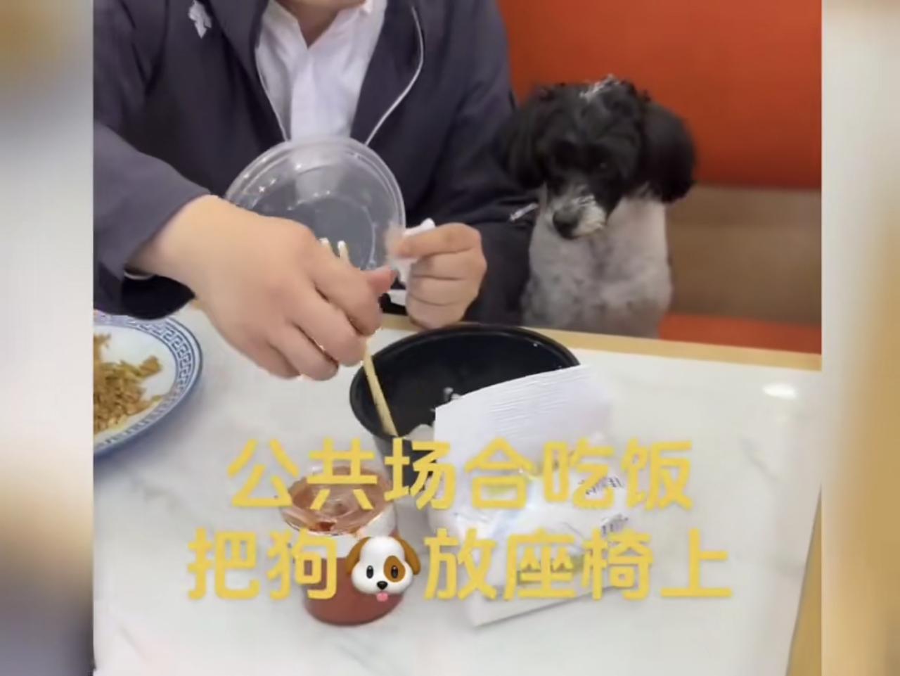 “较真就对了！”餐厅里一男子把宠物狗放在座椅上被其他食客质疑，让网友们震惊的不是