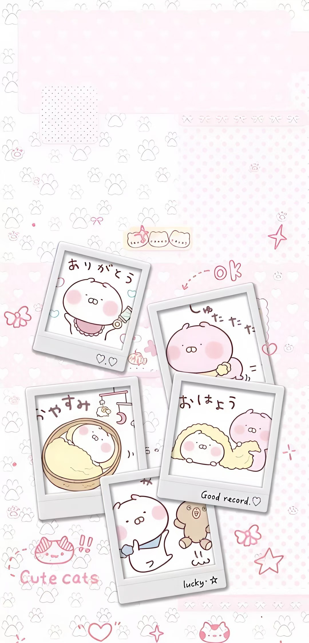 可爱丨高清丨无水印丨聊天背景图/壁纸៸៸᳐⦁⩊<៸៸᳐੭ﾞ🐾