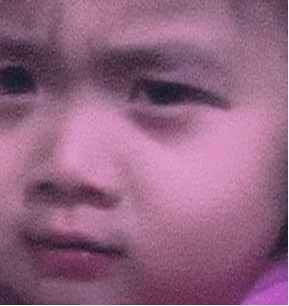 这回不是白嫖了吧​​​