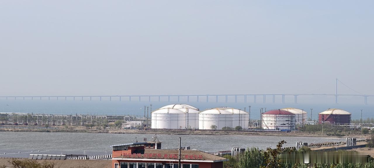 迟到路上接到同事电话：“你是不是在厕所？”我秒懂：对，拉肚子今早上班迟到了二