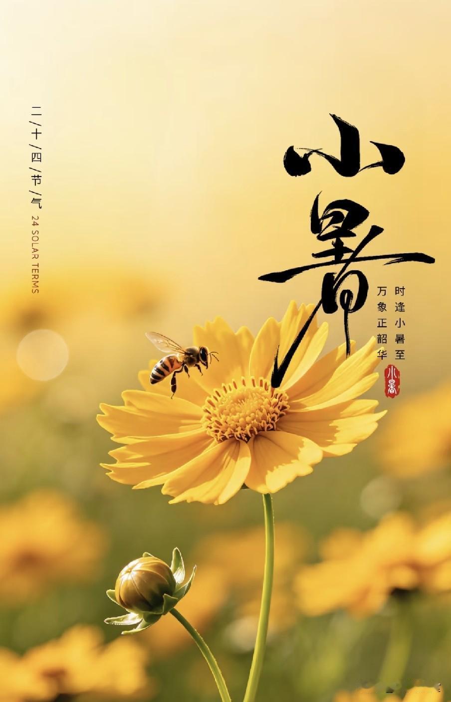 后天小暑，出梅和三伏天时间均已确定，今夏是热是凉？答案来了农谚“小暑不过午
