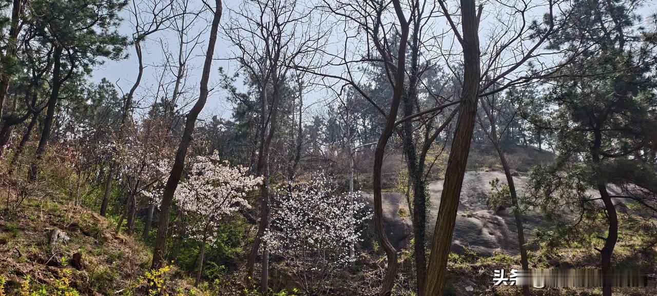 老板把我叫进办公室，关门递了部手机。说了一句话，我后背发凉我前同事小周，上周被