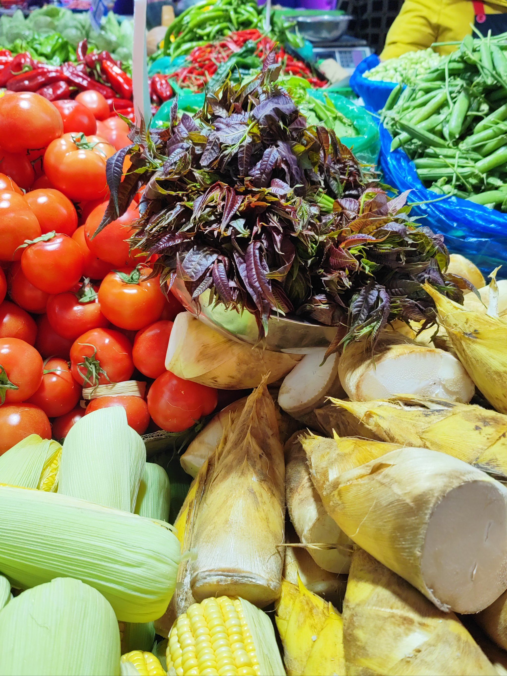 龙抬头遇上春分，美食给家人安排吧！