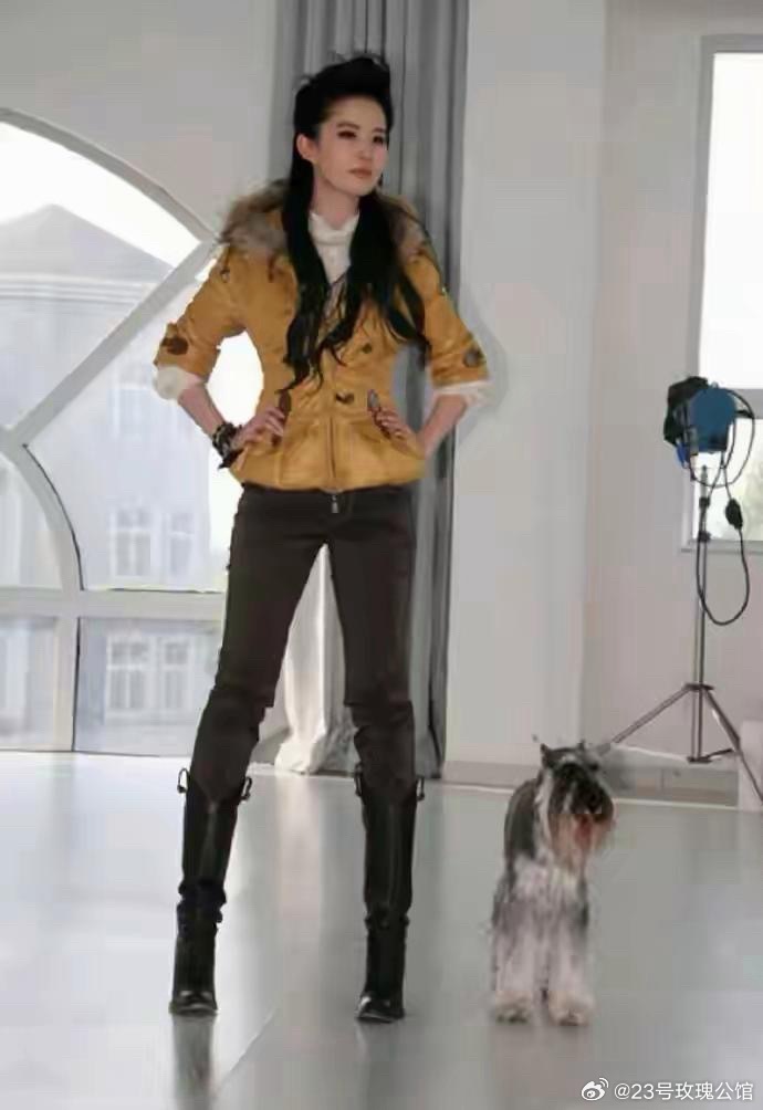 这件土黄色的衣服真是挺难驾驭的！这么难看的衣服穿在刘亦菲身上，也没有把她变土，可