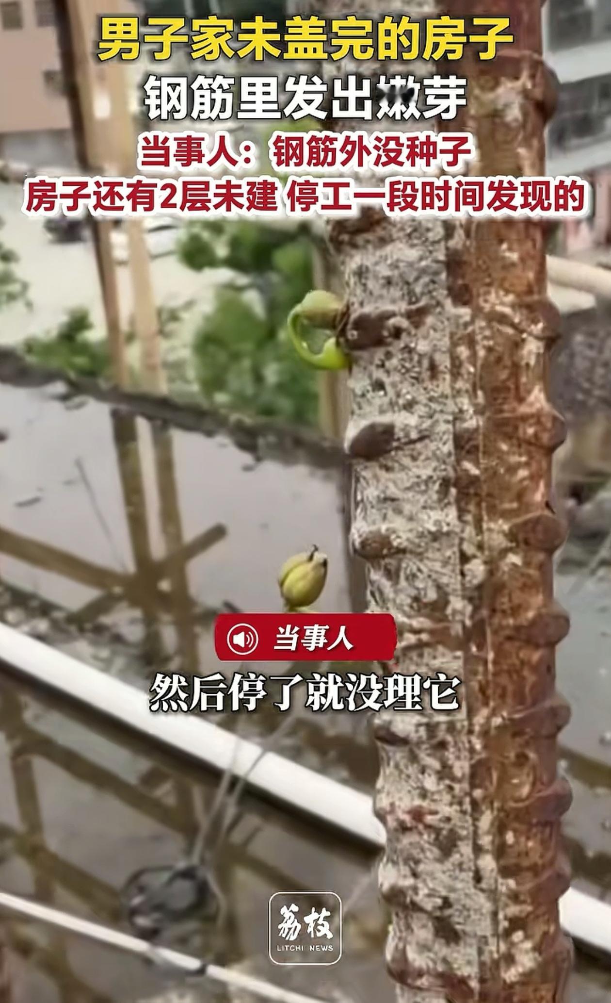 “人都懵了！”广东揭阳，男子想盖6层小洋楼，盖了4层就搁置了，最近想接着盖，结果