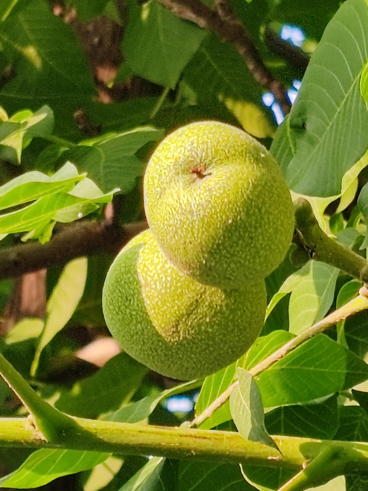 孩子和父亲越来越相像，你所说的似乎有些道理，但追根究底，起作用的还是教育，而非血