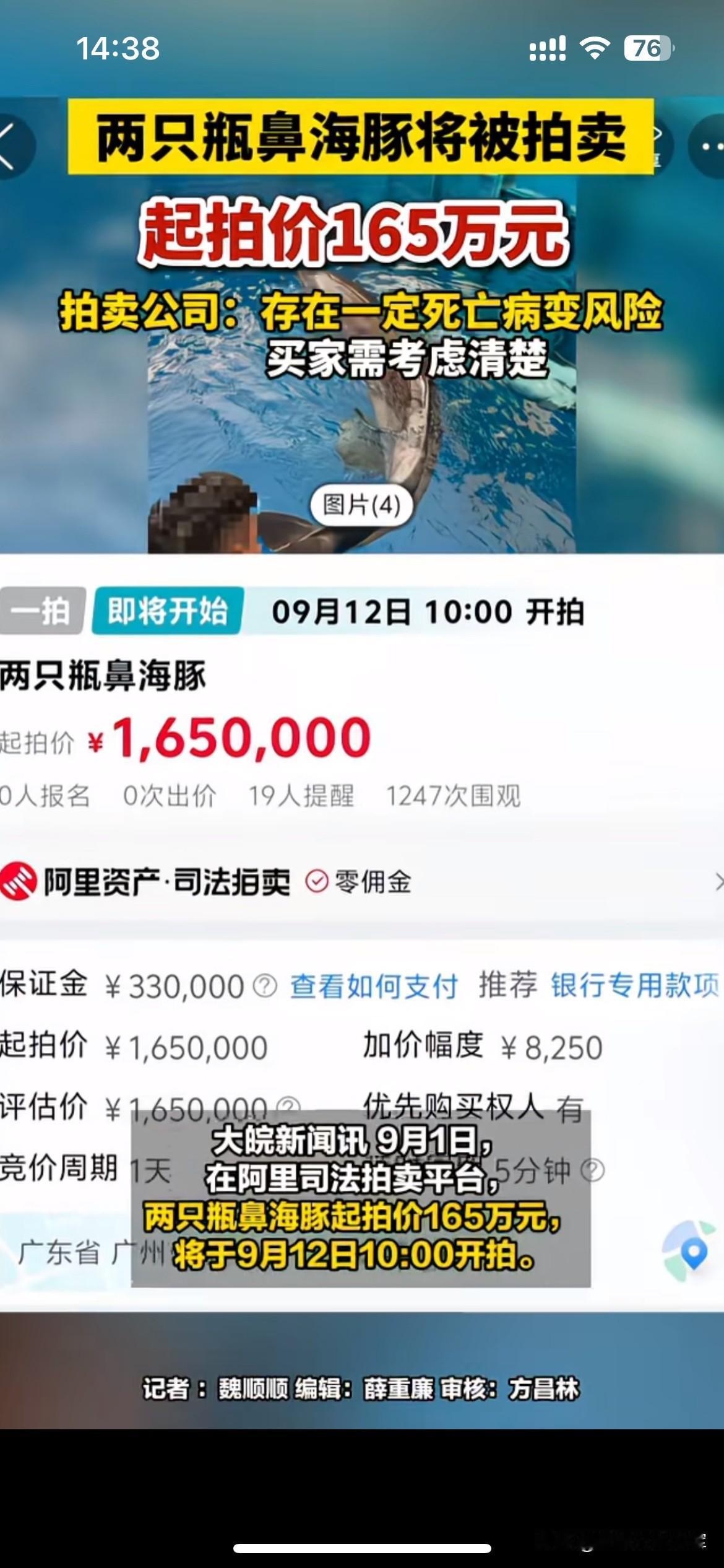 司法拍卖活体海豚，一场棘手的处置难题两只瓶鼻海豚登上司法拍卖平台，起拍价16