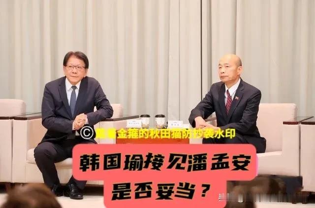 韩国瑜接见潘孟安是否妥当？为何不先和蒋万安沟通后再会见呢？对所谓“监察机构”“先