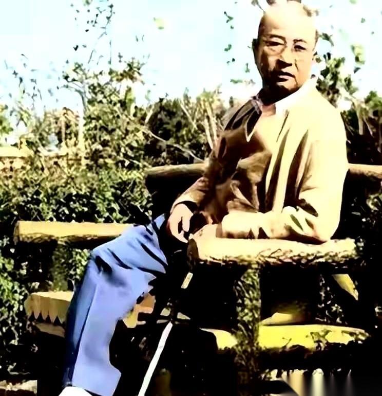 他说，我活不过六十岁。一个战功赫赫的大将，在家里，平静地跟家人说了这么一句。