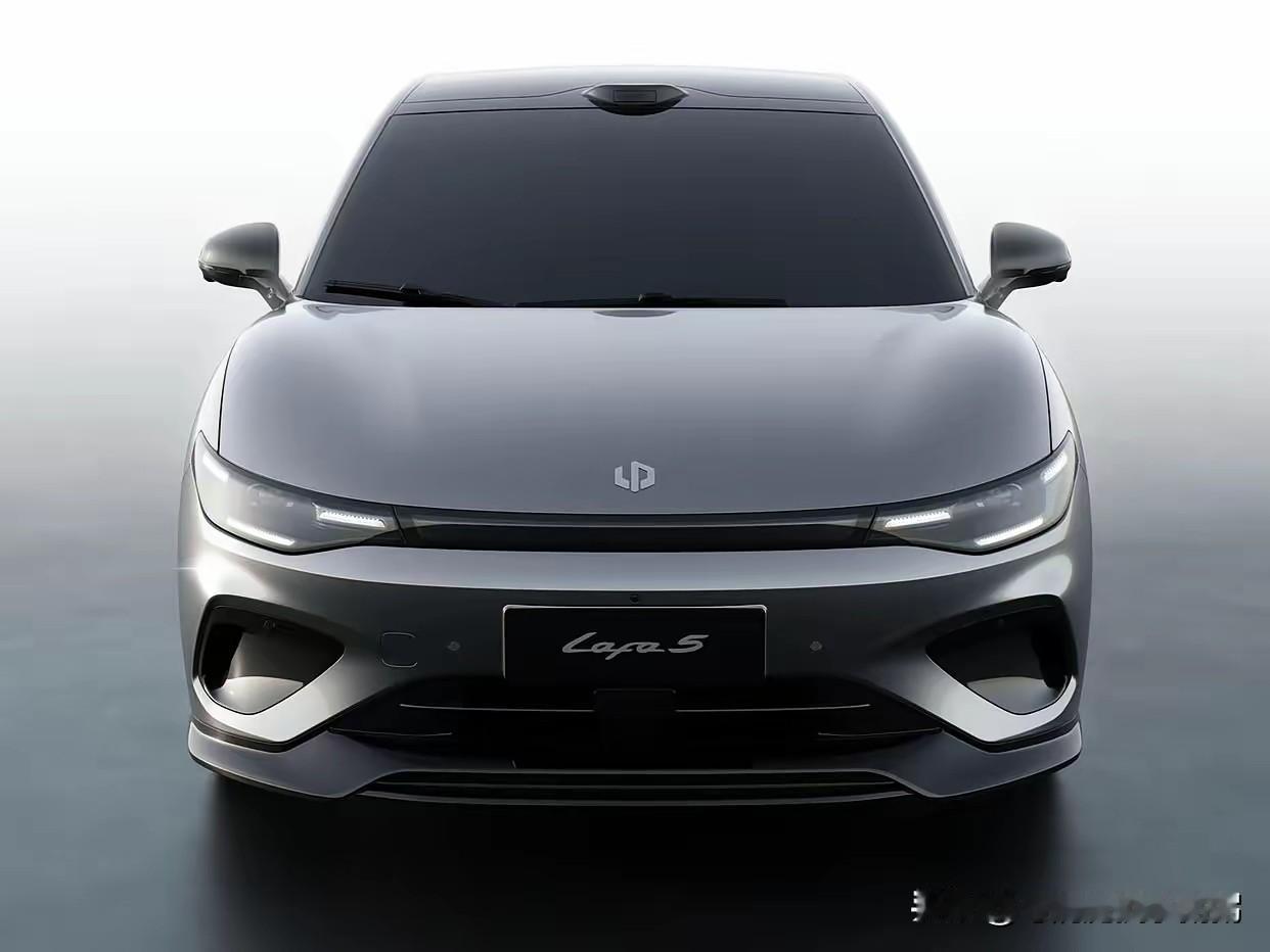 全球已经盈利的新能源车企目前只有5个：1、特斯拉，2、比亚迪，3、理想汽车