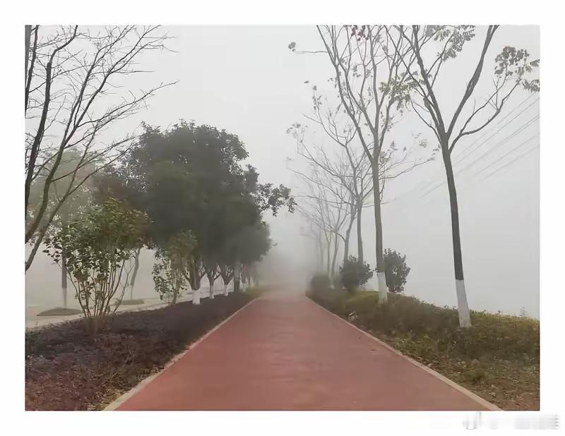 黄杨钿甜爸爸于上月紧急退出的生物科技公司不光改成了美妆贸易公司。近日，公司更是因