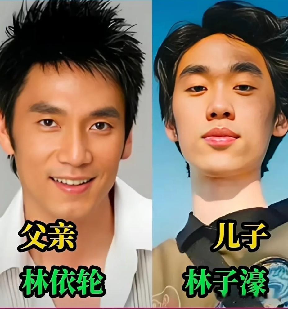 这么多演艺父子档，哪一对长相相似度最高？1. 林依轮&林子濠​2. 陈