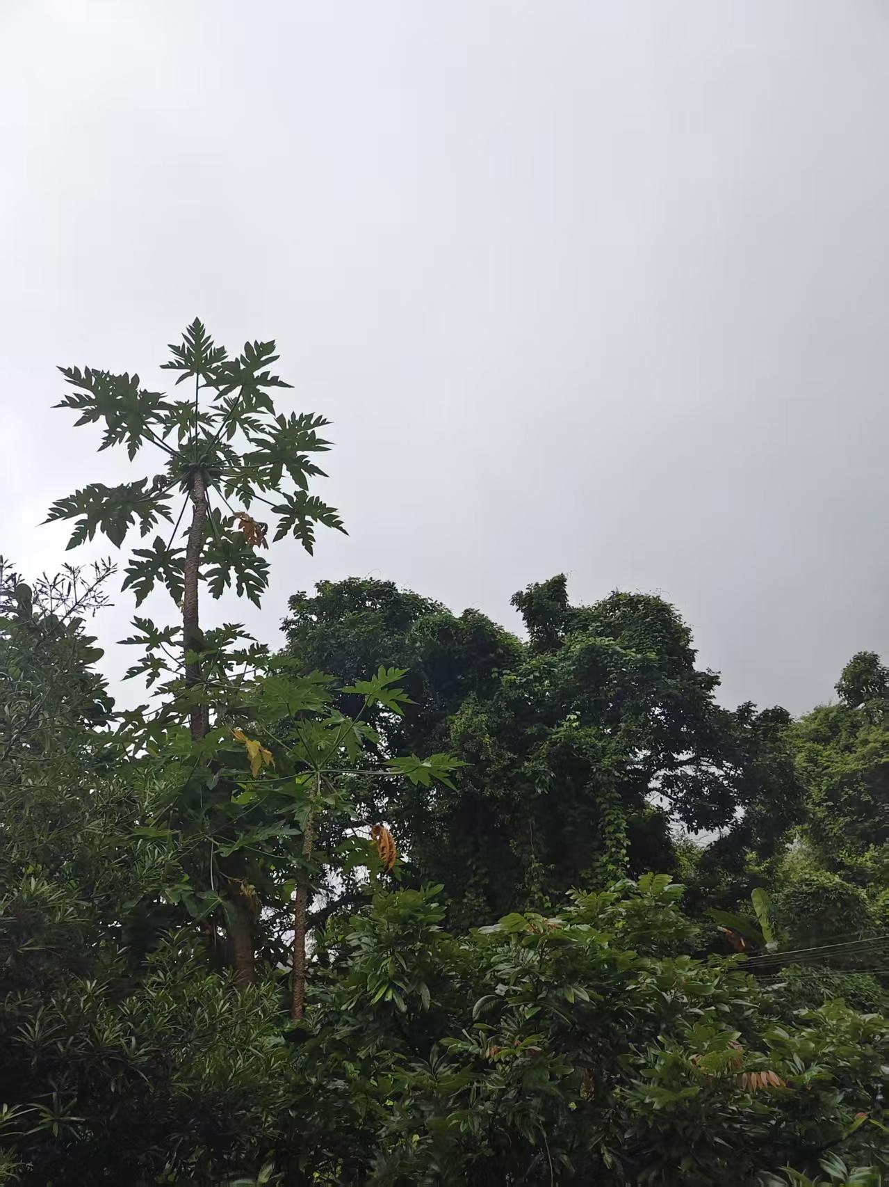 民政局工作人员说漏嘴：现在离婚的夫妻，80%都不是因为出轨。干了十九年的大姐