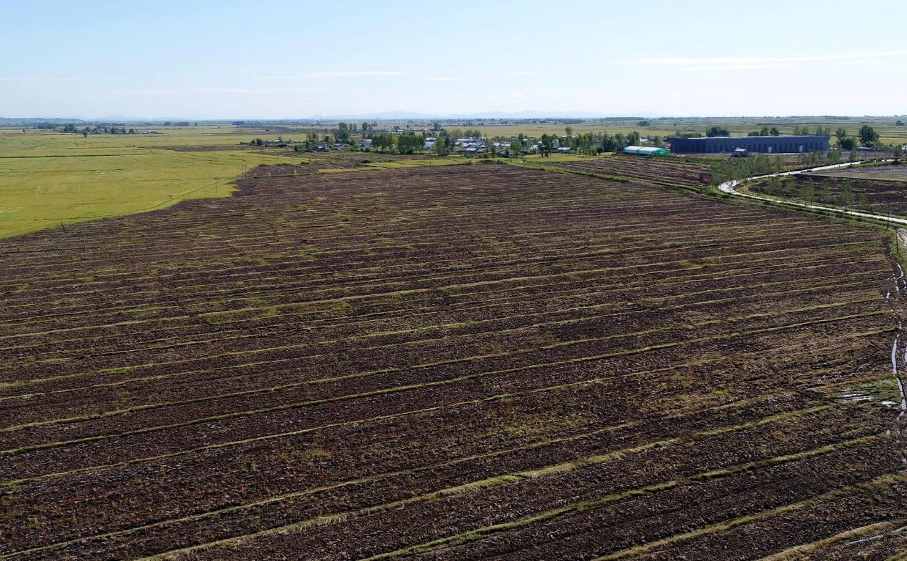 几百亿斤粮食说不要就不要了？数万名官兵和农民辛苦开垦了半个世纪，养活了一亿多人的