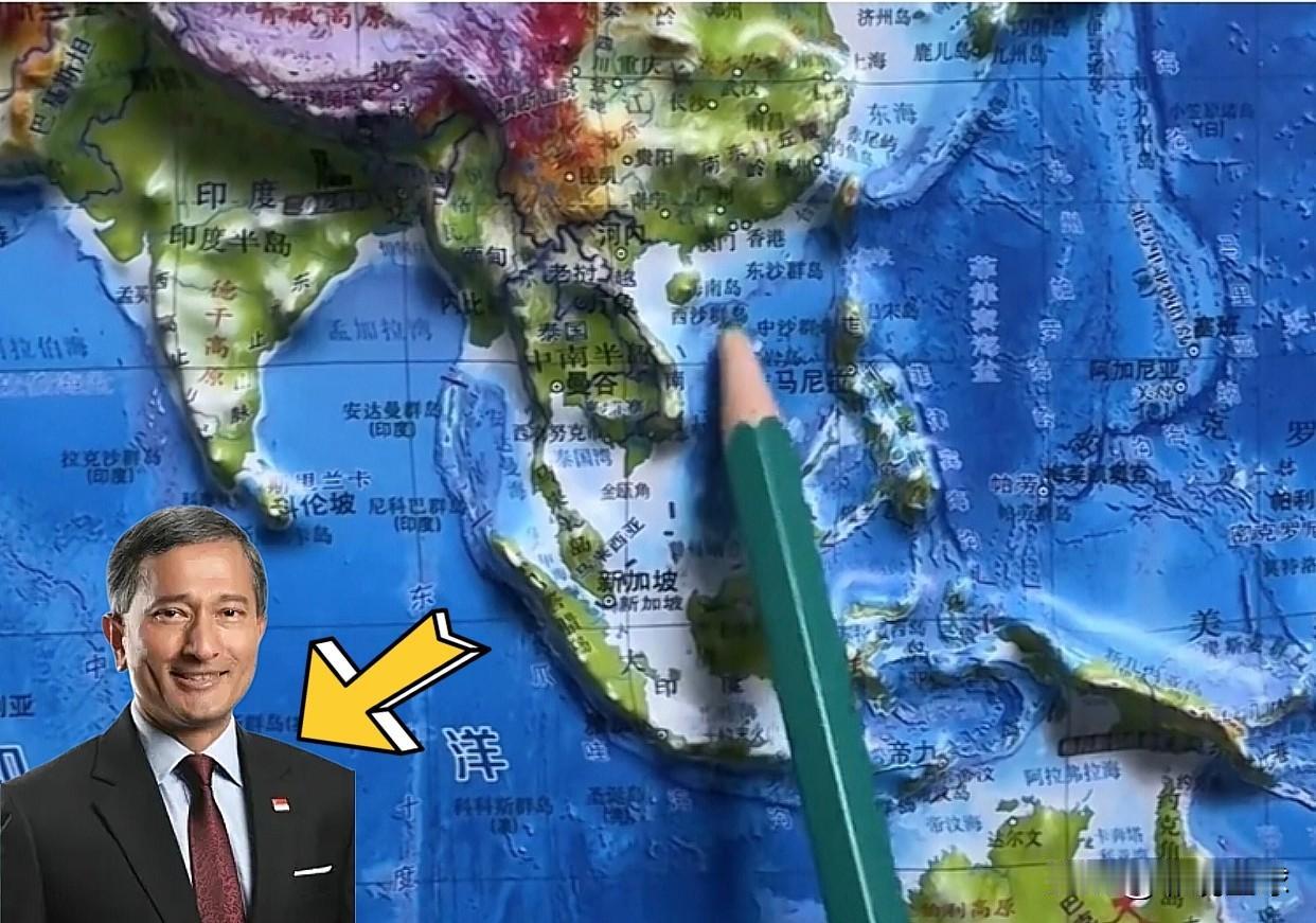 现在是越来越看不懂了！[捂脸哭][捂脸哭]新加坡外长维文突然喊话东方大国求“宽容