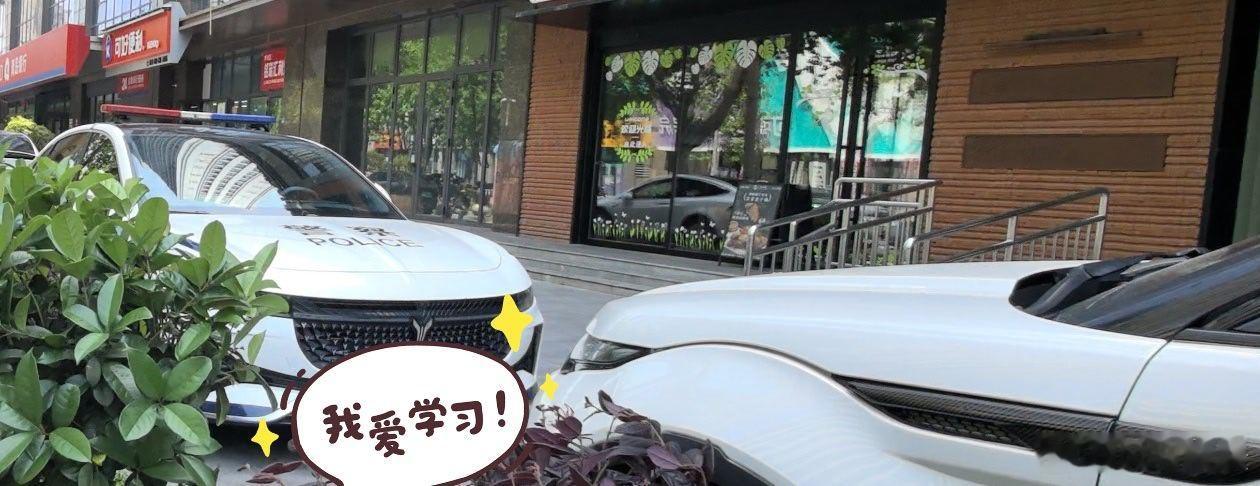 换装国产车公务车果然好看