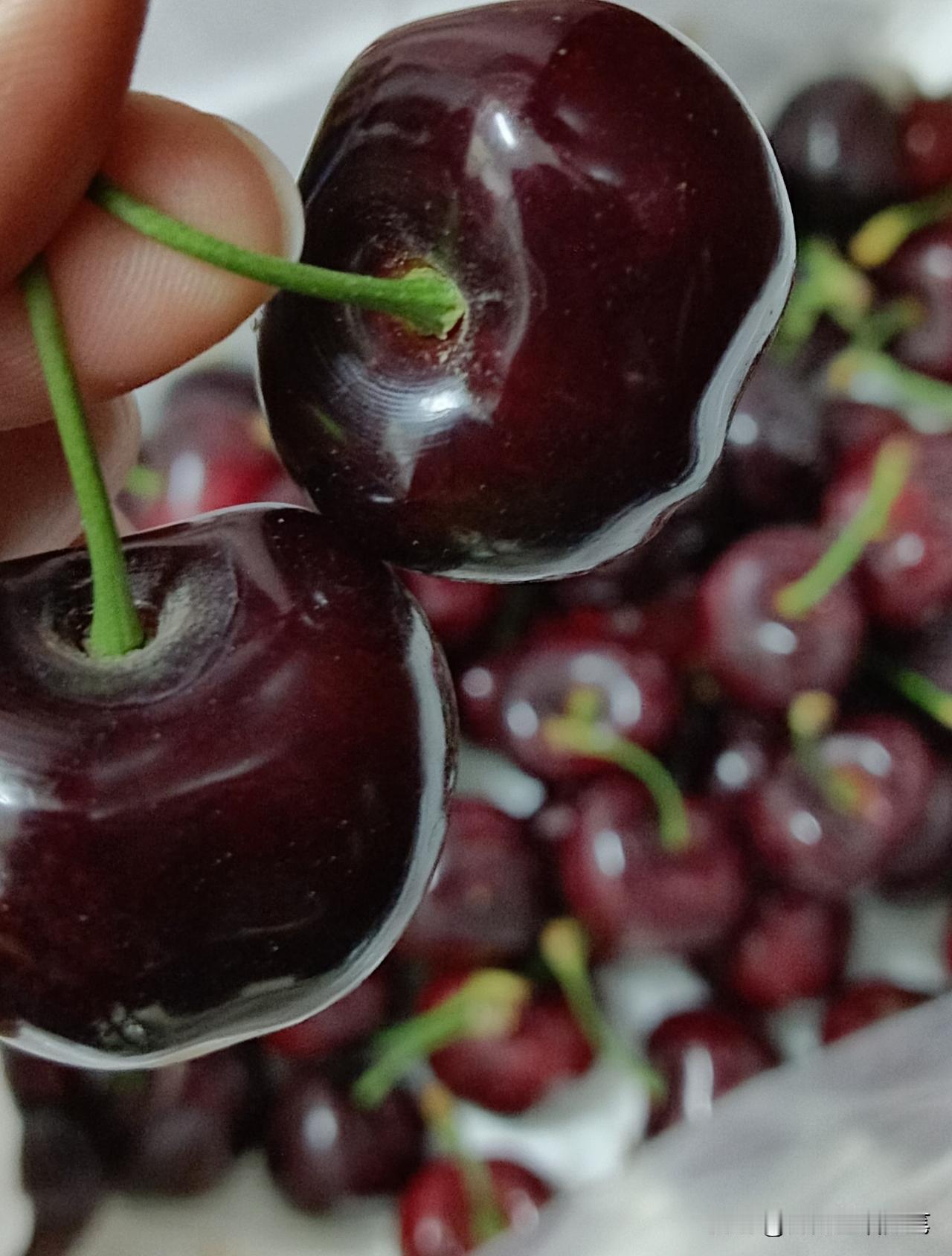 买错车厘子亏大了！包装上的J原来是这意思，看这篇秒懂家人们，买年货挑车厘子