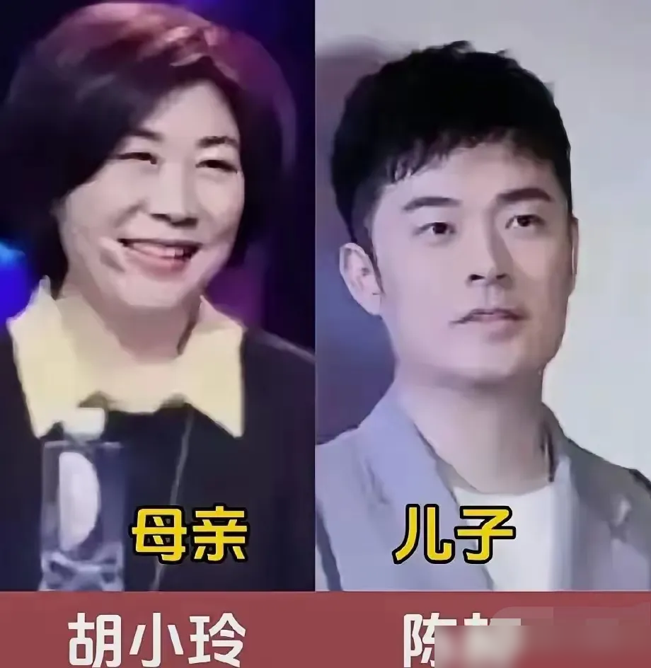 陈飞宇这张脸，就是陈凯歌24岁的脸，换了陈红的五官。陈红晒过母子童年对比照，亲口说儿子遗传了她的卧蚕