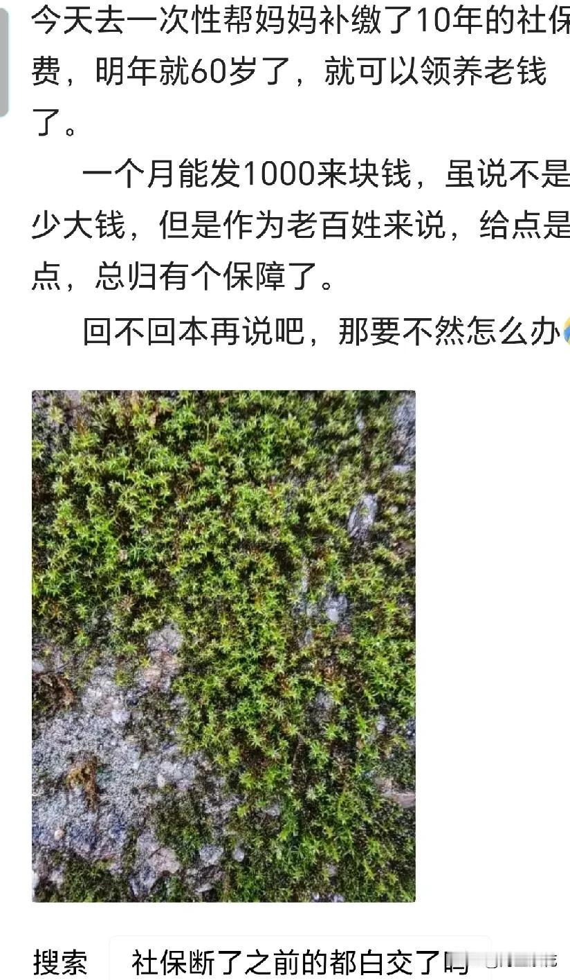 社保可以一次性补交了现在的社保养老政策改变了吗？社保没交够年限的人可以一次性补