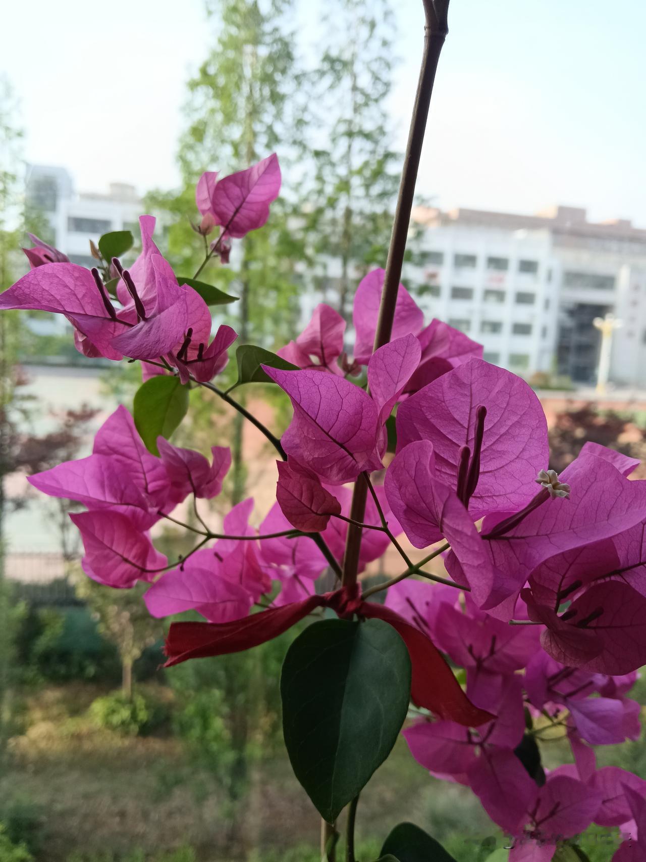 准到惊人的20个玄学规律，照着做，你的生活将越来越顺遂！玄学究竟是什么？它并非