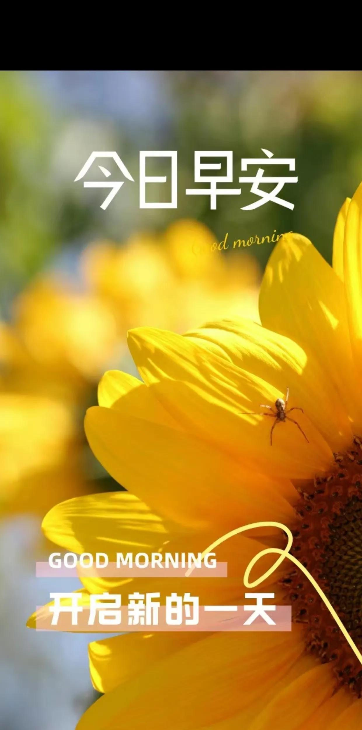 公务员工资虽然不高，但福利还是挺好的，如果当了领导，待遇还会随着层级提升而逐步提