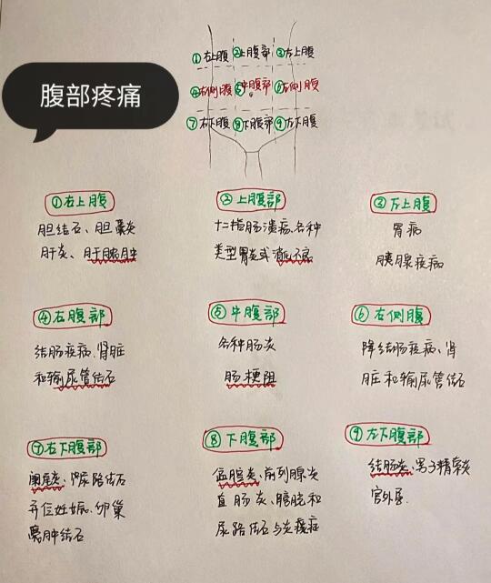 今日学习——腹部疼痛