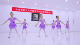 全国民族舞蹈v全国作文-初中鸿雁乌兰木奇视频-初中生舞蹈视频真800图片