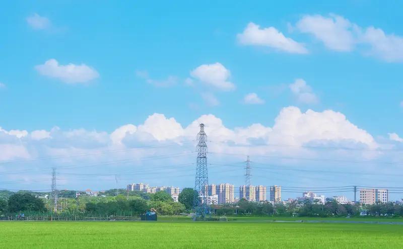 最好的养生方法并非单一秘诀，而是一个整体性的生活方式系统，它融合了身心的平衡与自