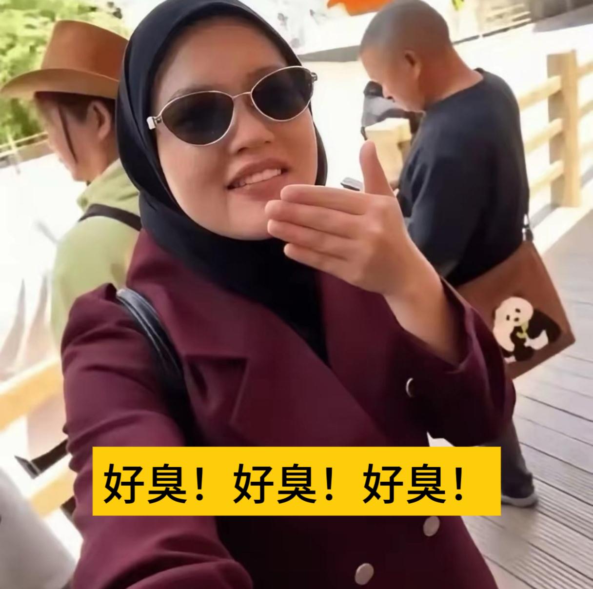 来中国旅游，用马来语嘲笑本地人身上“臭”，对着镜头说当地人都不洗澡，打网约车取笑
