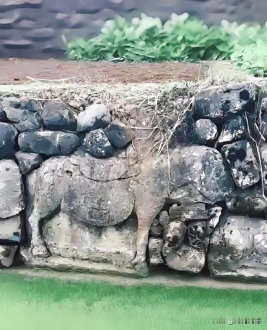 破旧不堪的石墙上，怎么镶着一匹石马？感觉有些蹊跷，这匹石马的造型非常的古朴，和昭