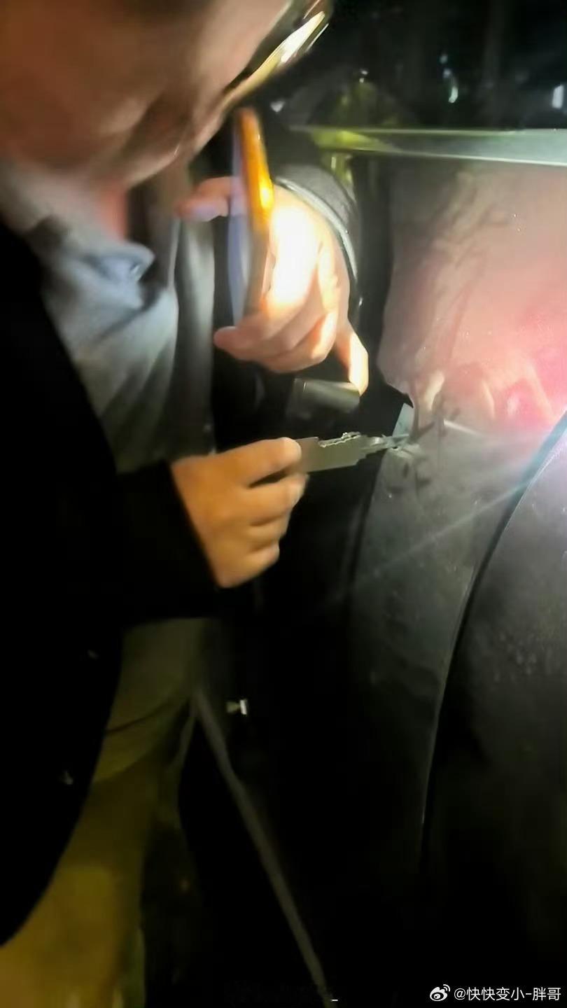 钥匙失灵看把我狗哥郁闷的，悲伤的小眼神