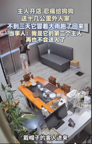 “太通人性了！”7月11日官方报道，福建漳州一老板娘收养了只流浪狗，因为担心小狗