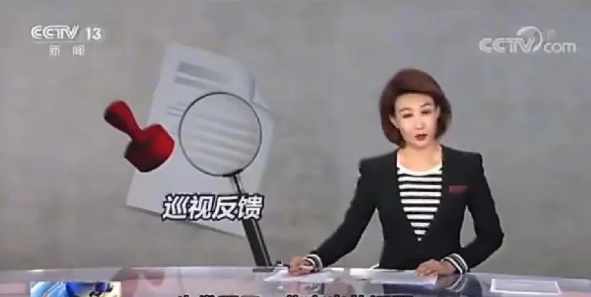 历史的回声：央视点评武汉大学校风学风建设存在不足。武汉大学图书馆门，杨女的毕业