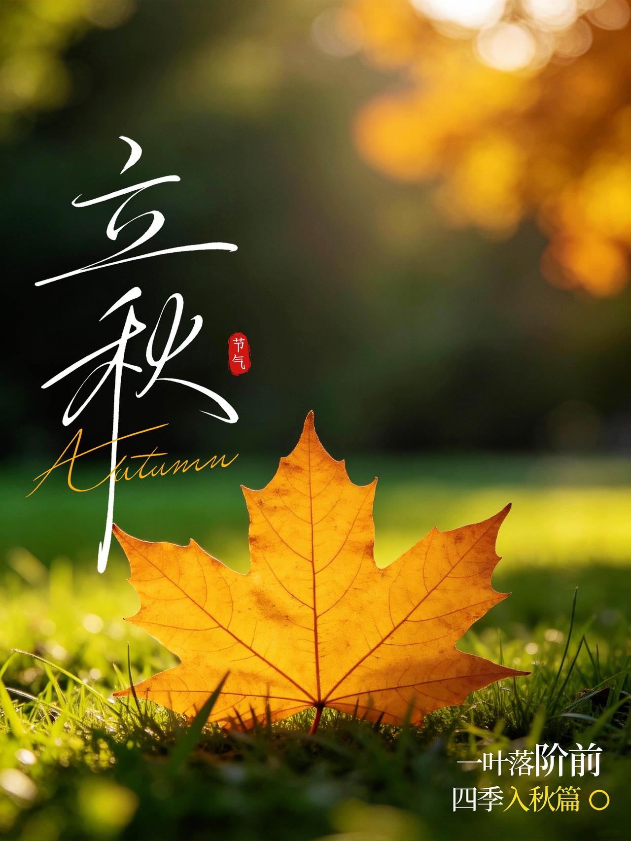 一叶落知天下秋🍁，今日喜迎立秋节气！燥热的盛夏走到尾声，清爽秋风缓缓扑面而来。