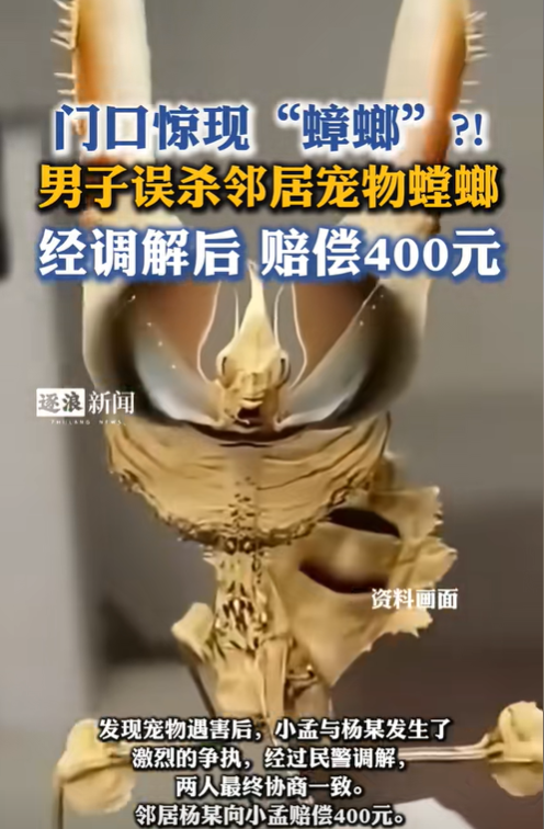 解释不清了！”近日，浙江，杨某看到家门口有虫子，就用杀虫剂喷死了。结果邻居却找上