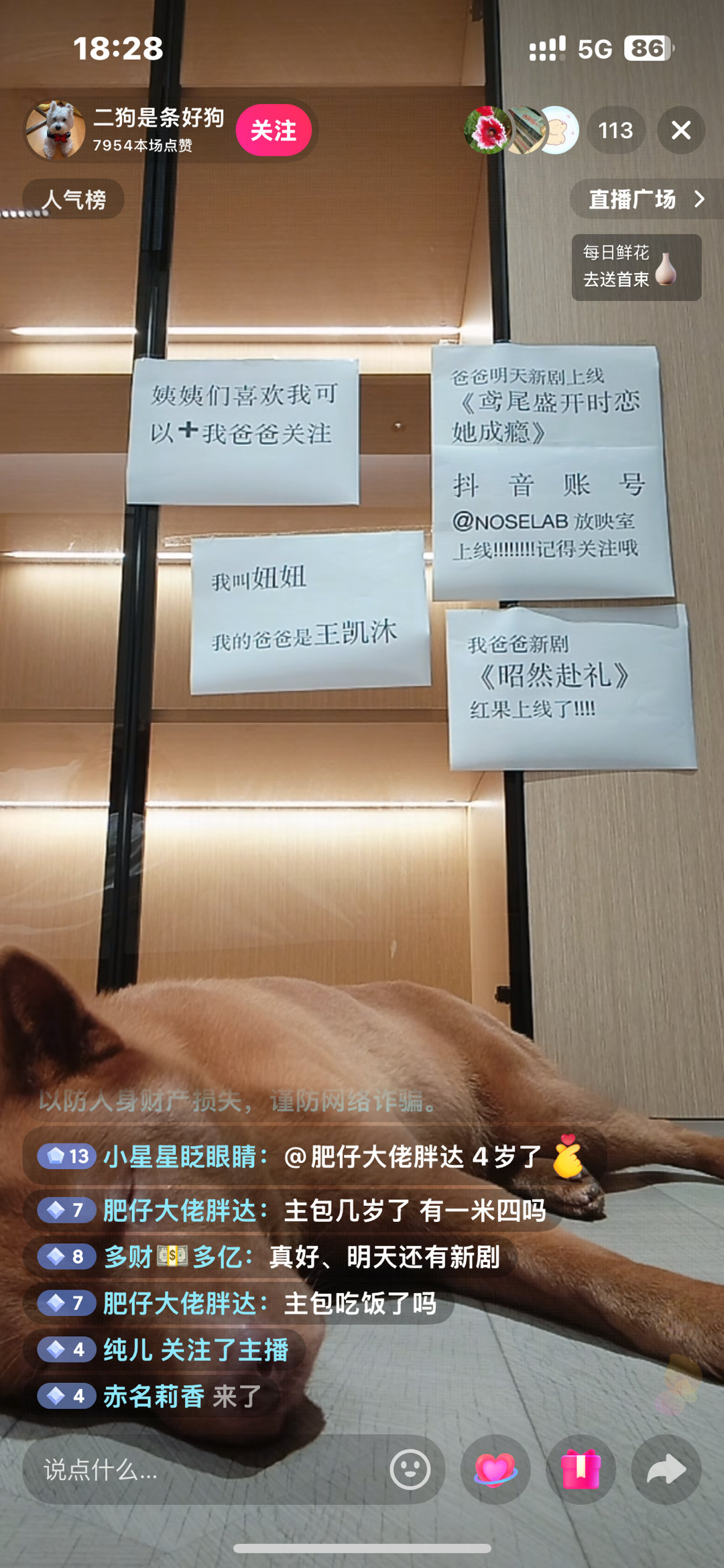 [笑着哭][笑着哭][笑着哭]丑沐家狗还要上班​​​