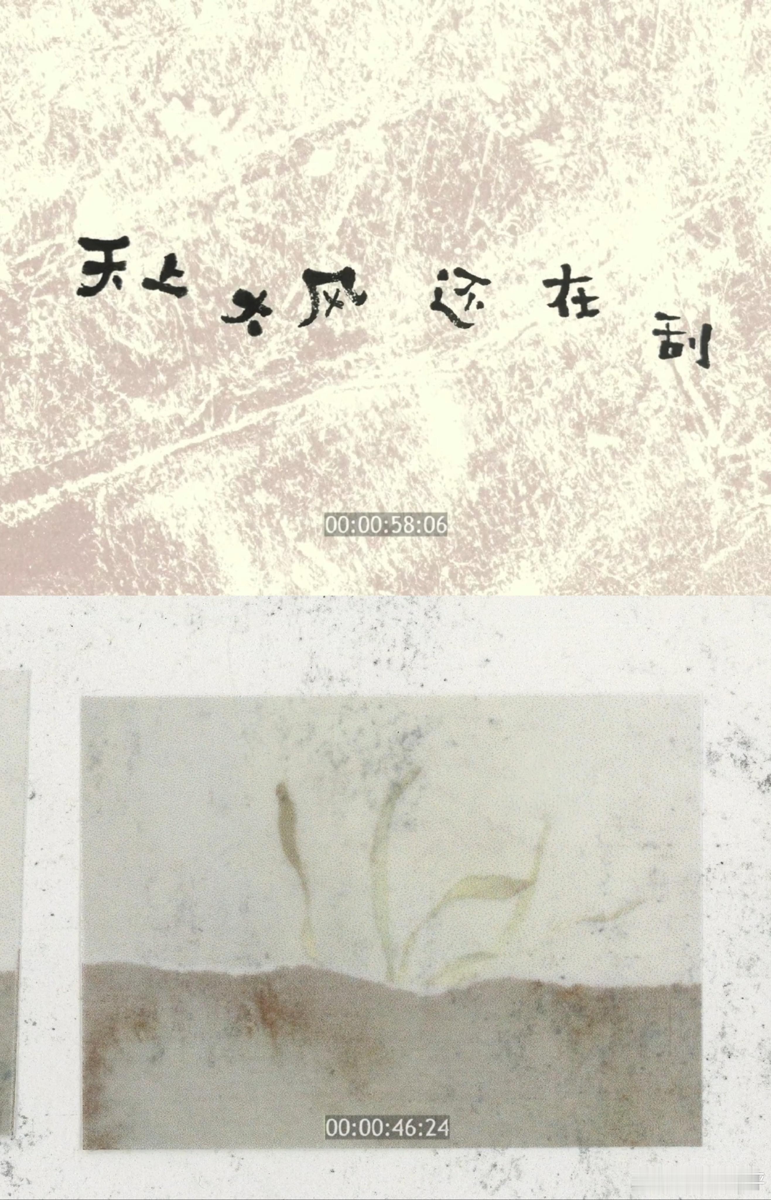易烊千玺易烊千玺的影像完全是审美积累不得不说易烊千玺的影像很有看点，镜头
