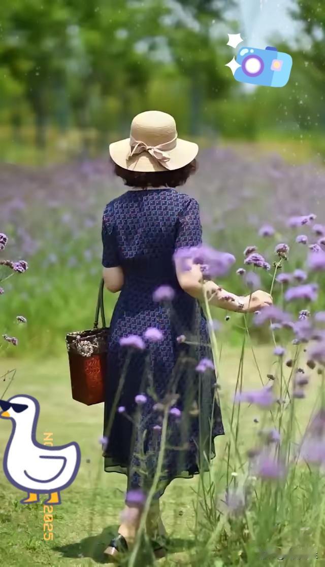 今天，我是矫情了吗？亲家两口子来家里玩了半个月，前天返程回家了。还是儿媳妇在医院