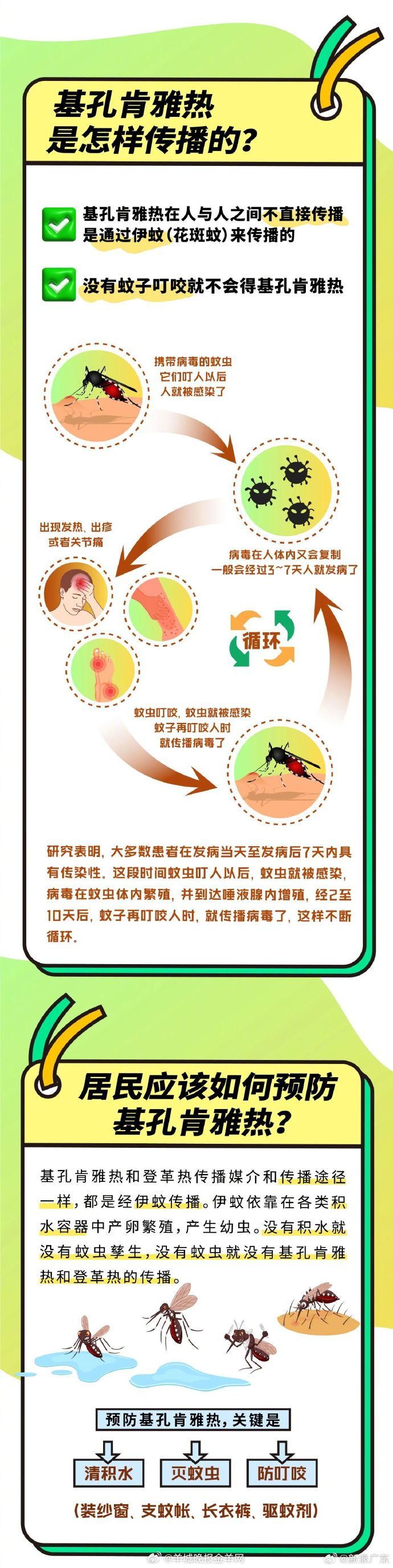 【#广东疾控专家解读基孔肯雅热#】广东夏日，蚊子又开始“搞事情”，基孔肯雅热病例