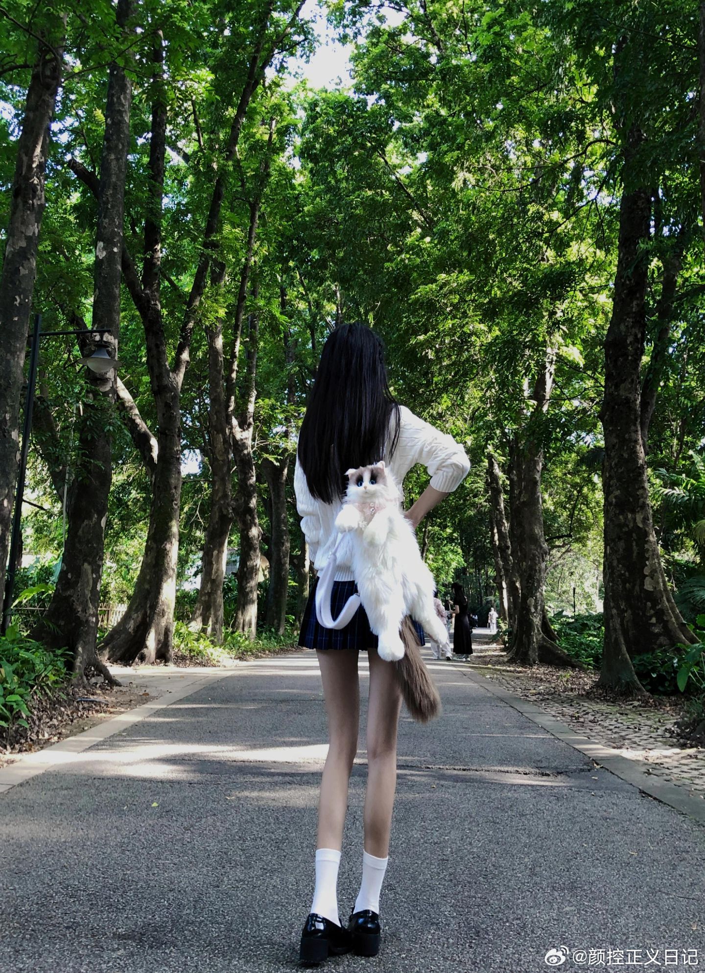 jk私影谁家的jk女孩美女绘梦长廊